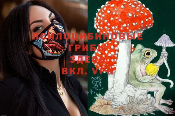 спиды Бородино