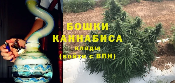 спиды Бородино