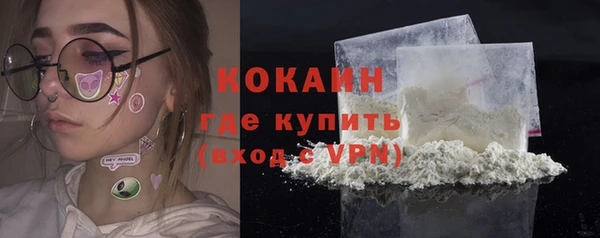 спиды Бородино