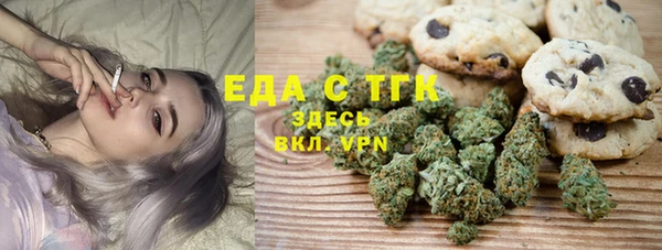 спиды Бородино