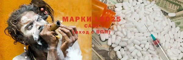 спиды Бородино